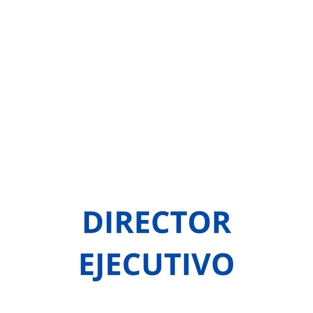 DIRECTOR EJECUTIVO