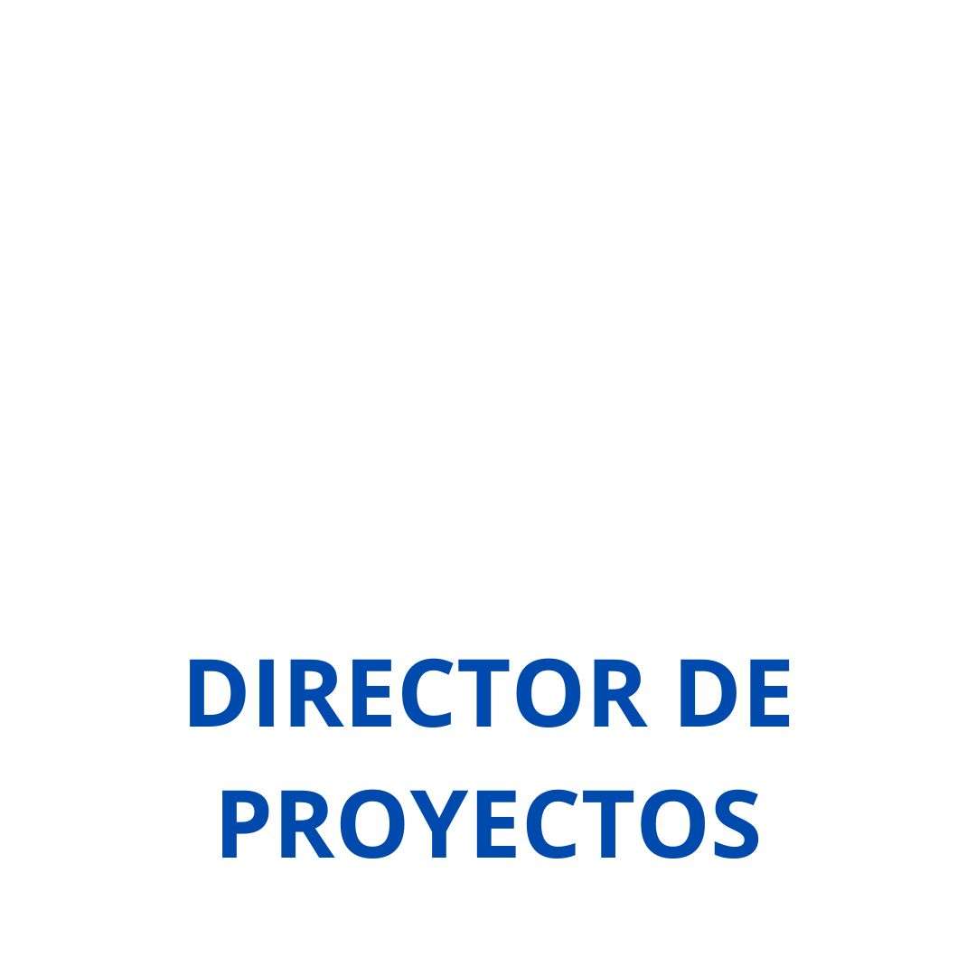 DIRECTOR PROYECTOS