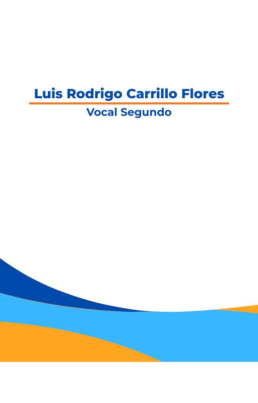 LUIS RODRIGO CASTILLO