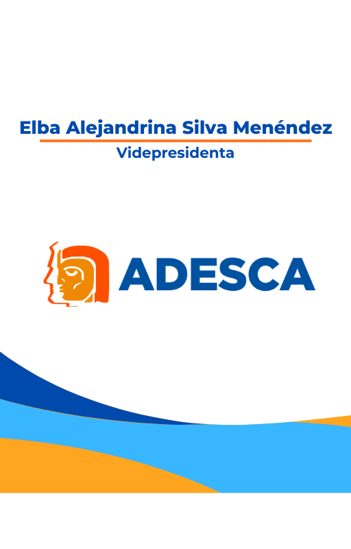 cedula vicepresidenta