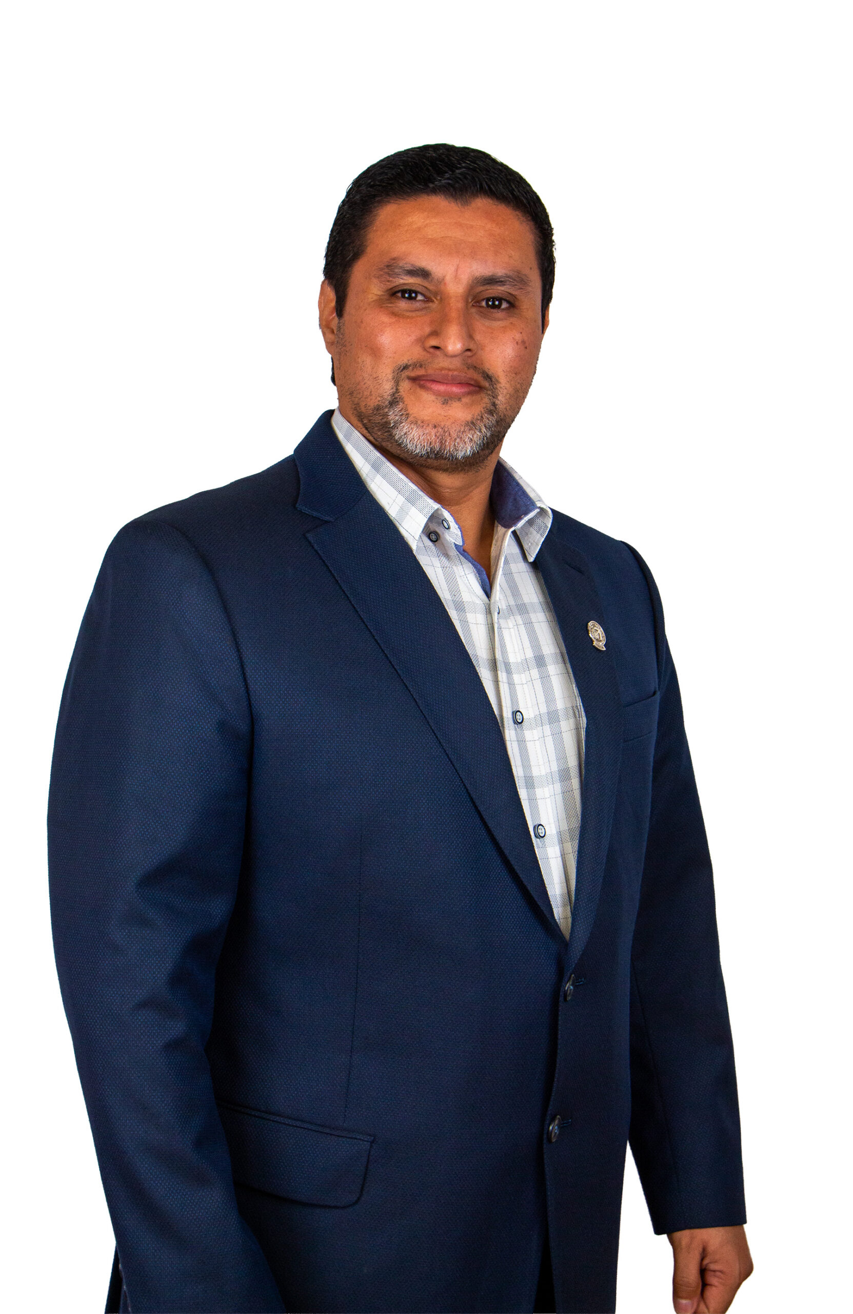 director de proyectos